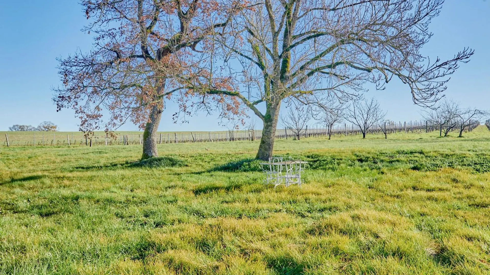 Le Clos Boissiere - Gite Cosy Valence-sur-Baise