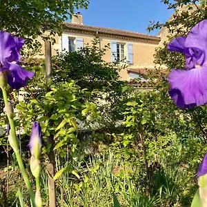 Le Petit Cochon Valence-sur-Baise